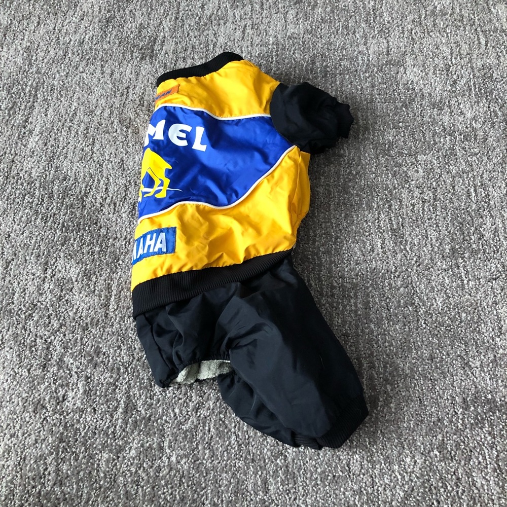 Puppy Camel racing outfit
